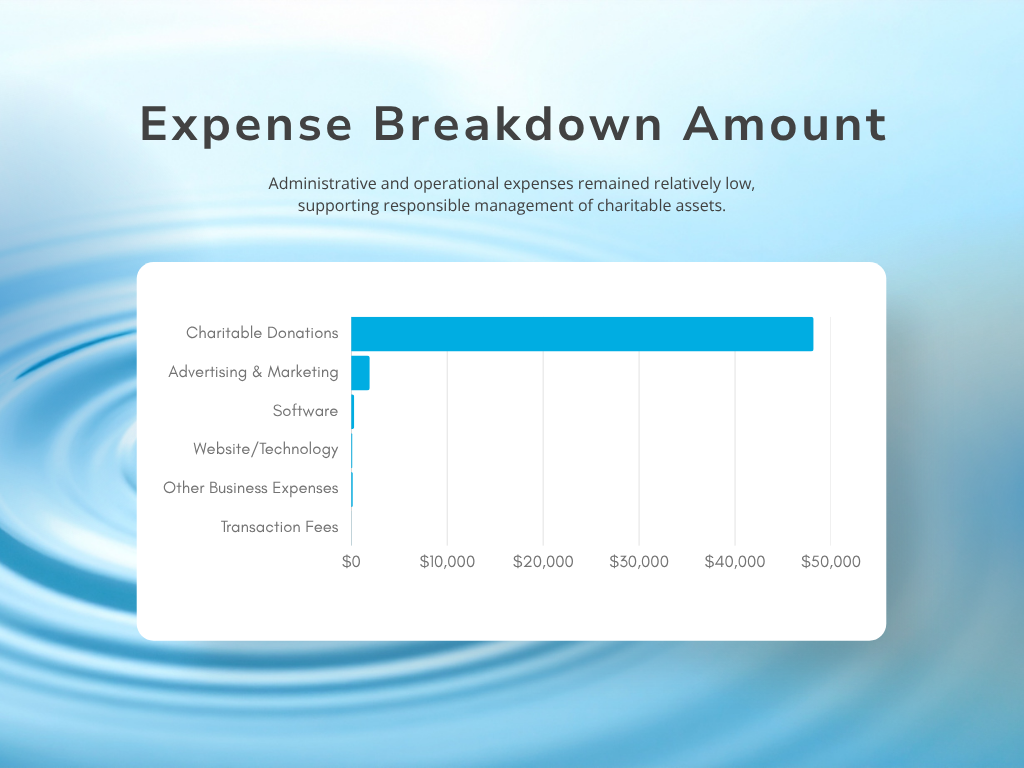 Expense Category Amount Charitable Donations $48,194.86 Advertising & Marketing $1,927.09 Software $309.50 Website / Technology $124.71 Other Business Expenses $161.21 Transaction Fees $23.86 Total Expenses $50,741.23